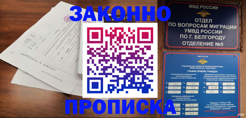 прописка в Тосно